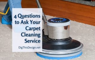 3 Questions to Ask Your Professional Carpet Cleaning Service