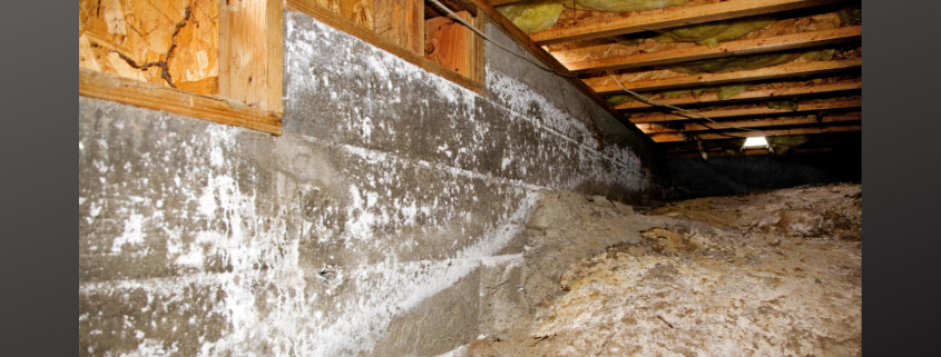 Tips for Cleaning a Crawl Space