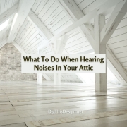 What To Do When Hearing Noises In Your Attic