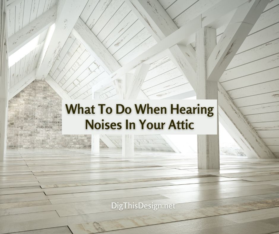 What To Do When Hearing Noises In Your Attic