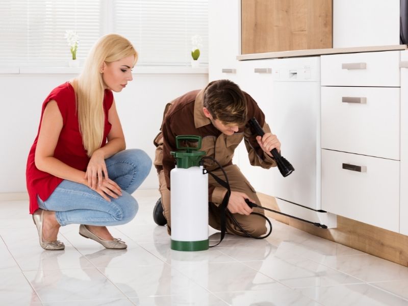 5 Simple Steps To Getting Rid Of Pests