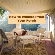 How to Wildlife-Proof Your Porch