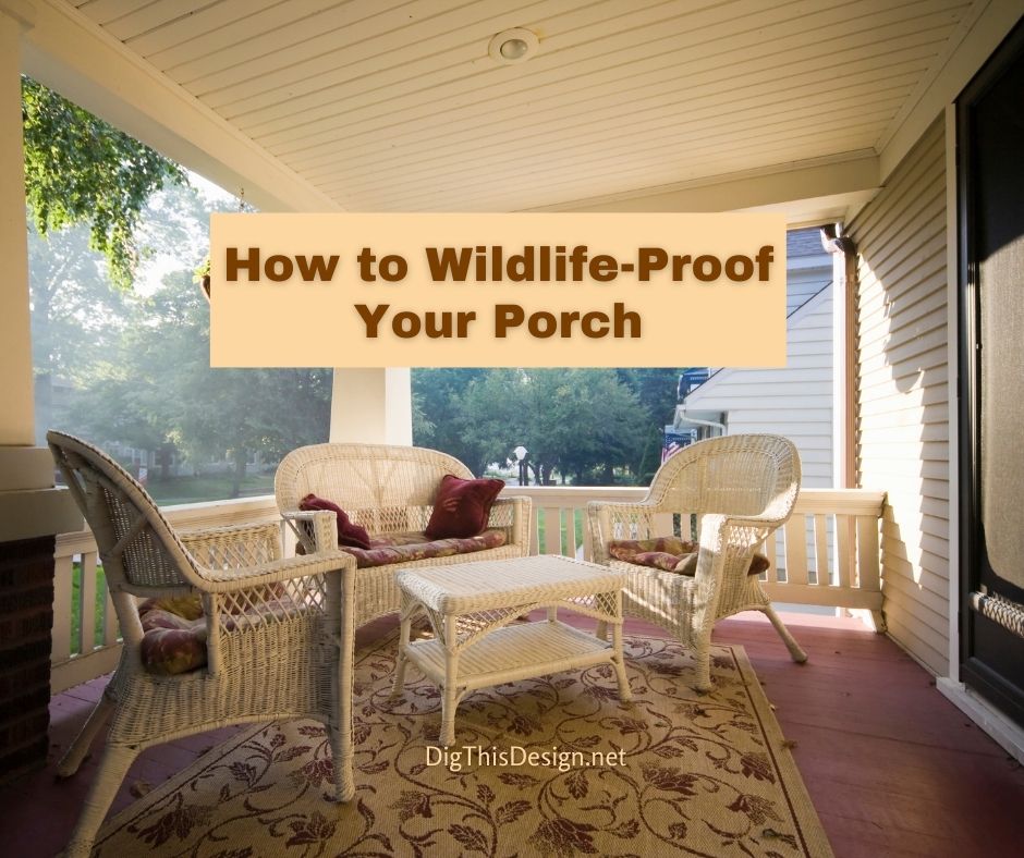 How to Wildlife-Proof Your Porch