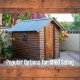Popular Options for Shed Siding