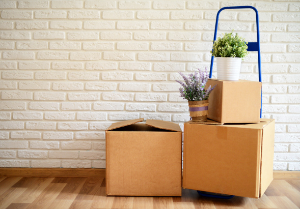 Easy Tips for Packing and Moving