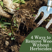 4 Ways to Remove Weeds Without Herbicides