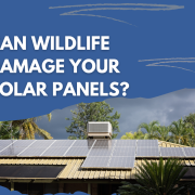Can Wildlife Damage Your Solar Panels?