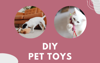 DIY Pet Toys