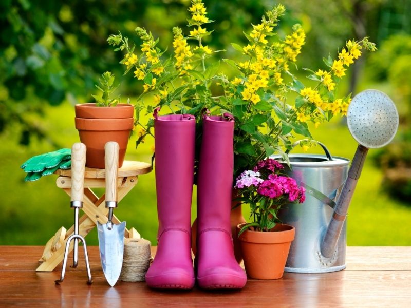 Gardening Tips Guaranteed To Improve Your Garden