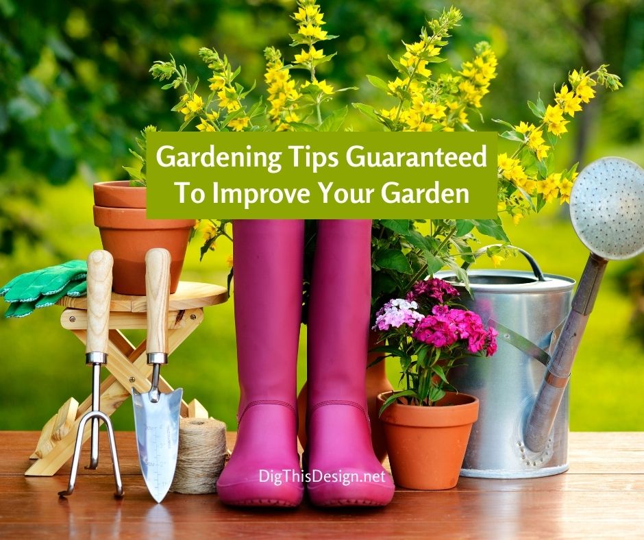 Gardening Tips Guaranteed To Improve Your Garden