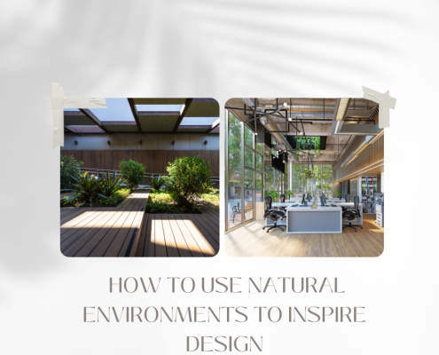 How to Use Natural Environments to Inspire Design
