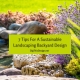 7 Tips For A Sustainable Landscaping Backyard Design