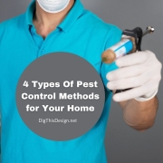 Home Management 4 Types Of Pest Control Methods
