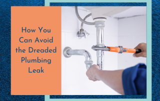 How You Can Avoid the Dreaded Plumbing Leak