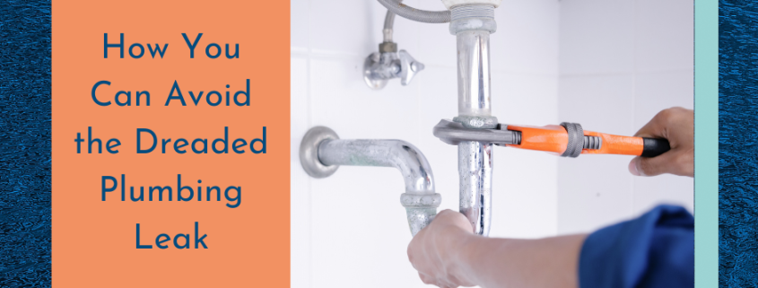 How You Can Avoid the Dreaded Plumbing Leak