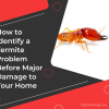 How to Identify if You Have a Termite Problem Before Damage to Your Home