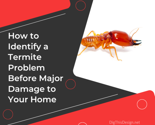 How to Identify if You Have a Termite Problem Before Damage to Your Home
