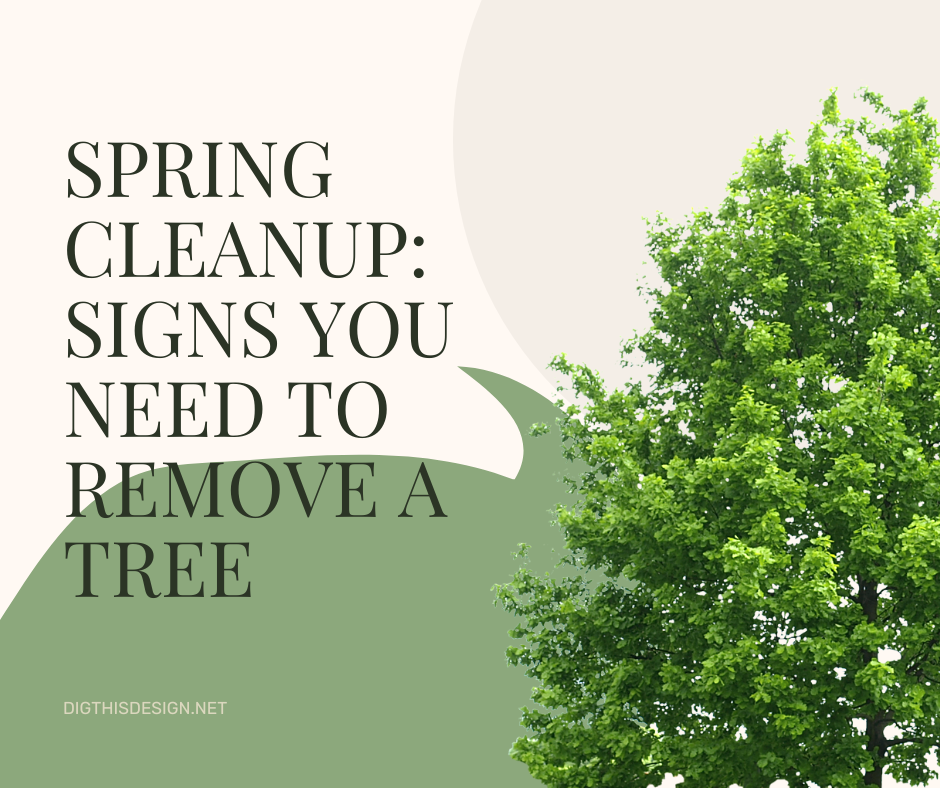 Spring Cleanup Signs You Need to Remove a Tree