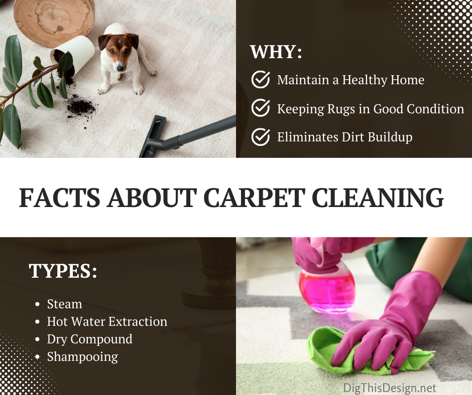 facts about carpet cleaning