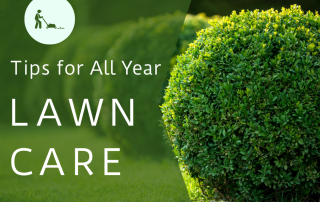 Tips for All Year Lawn Care