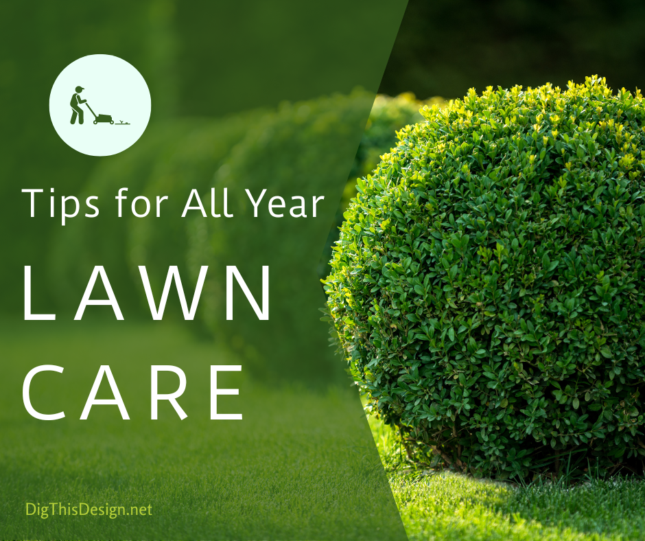 Tips for All Year Lawn Care