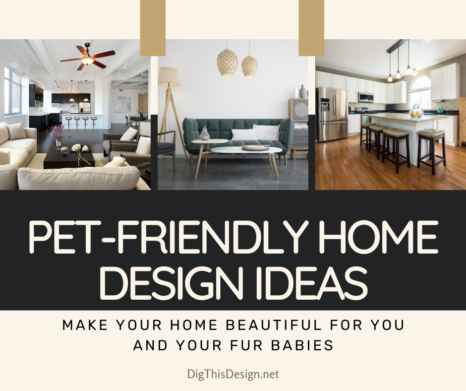 Pet-Friendly Home Design Ideas