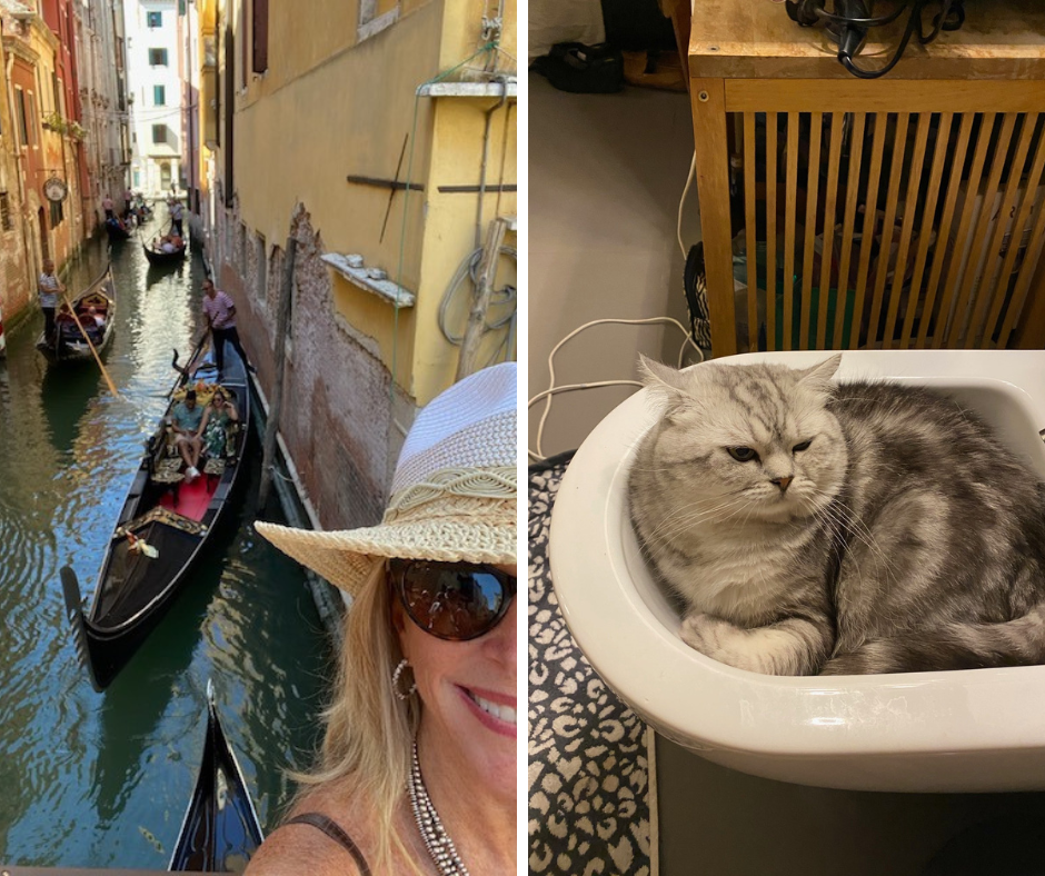 Cat Sitting in Venice, Italy