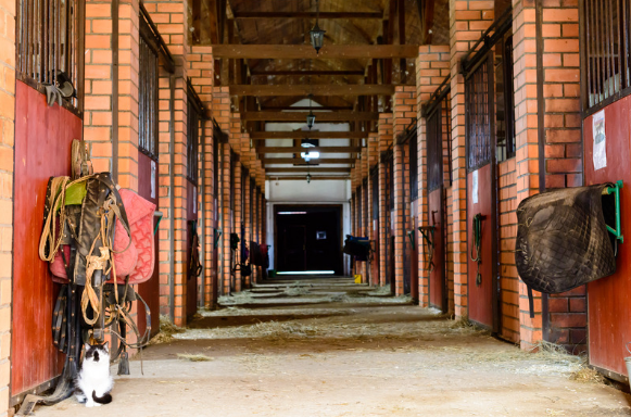 Why Metal Trusses are Used in Pole Barns