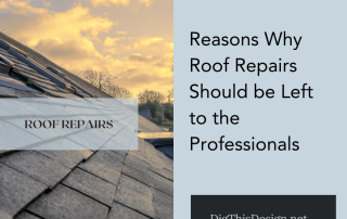 Why Roof Repairs Should Be left to the professionals