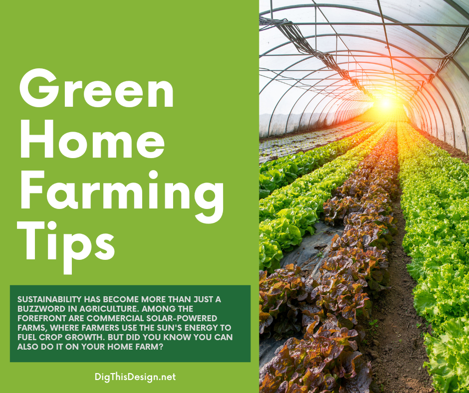Green Home Farming