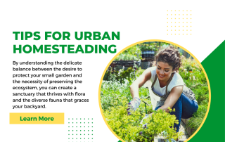 Tips for Urban Homesteading