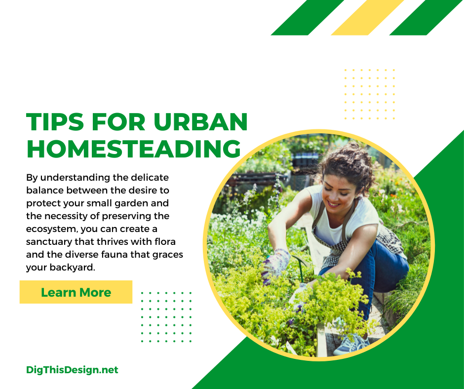 Tips for Urban Homesteading
