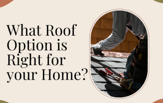What Roofing Option is Right for your Home