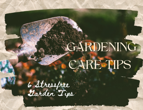 Master Your Garden Care: 6 Stress-Free Techniques for a Flourishing Oasis