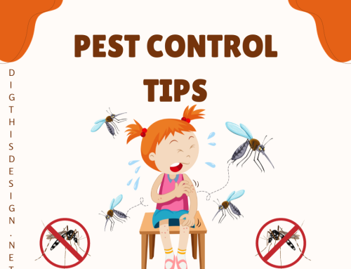 Conquer Summer Pests: Your Ultimate Guide to Identification and Prevention