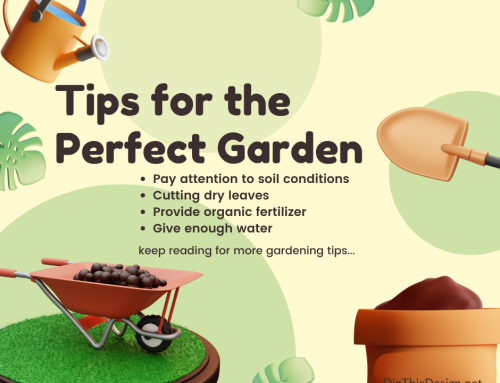 8 Tips for Creating the Perfect Garden at Your New Home