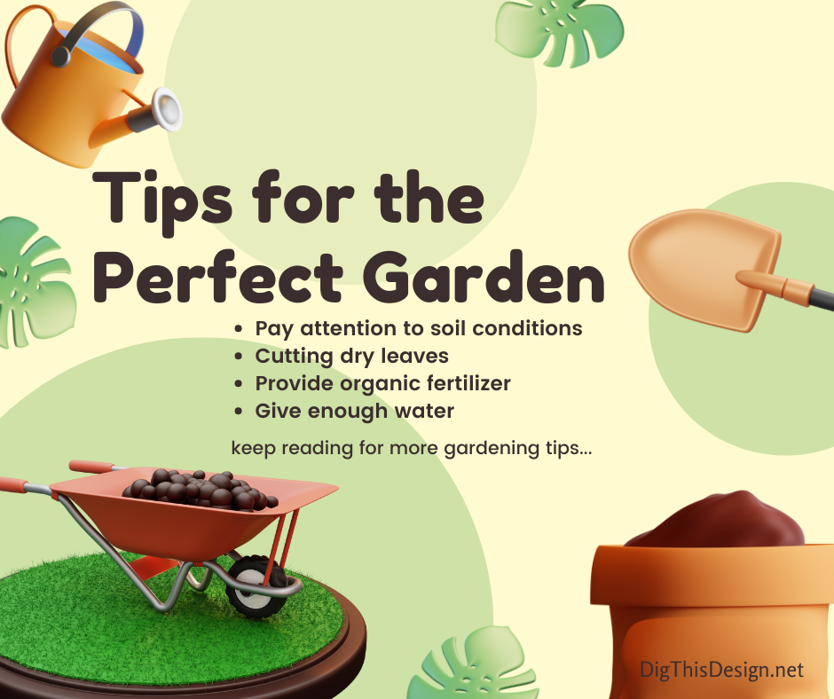 Tips for the Perfect Garden