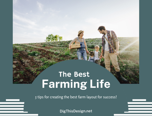 Farming Life Mastery: 4 Vital Tips for Crafting a Powerful and Efficient Farm Layout