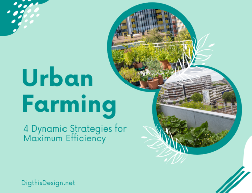 Urban Farm Success – 4 Dynamic Strategies for Maximum Efficiency