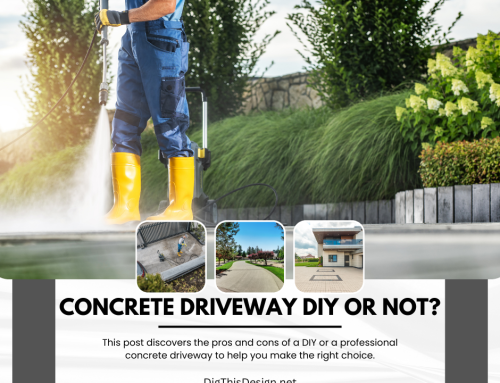 Concrete Driveway Design: Empower Your Home with Professional Expertise vs. DIY Approach