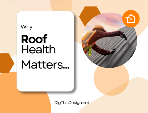 Roof Health Matters – The Ultimate 101 Guide to Preparing Your Home for Sale