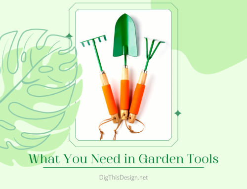 Garden Tools Essential – 5 Garden Tools Survival Kit