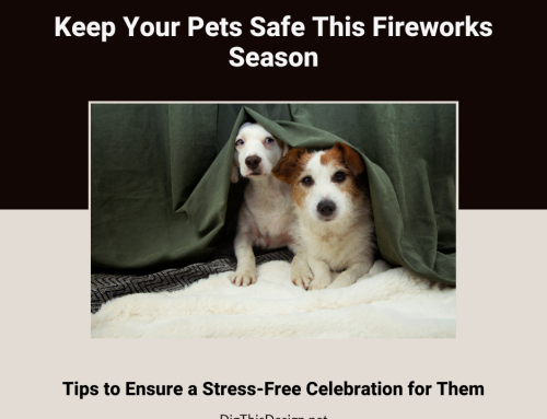 Protect Your Pets from Fireworks: 7 Crucial Tips to Prevent Anxiety During July 4th Celebrations