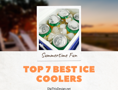 7 Best Ice Coolers for Unforgettable Summertime Fun