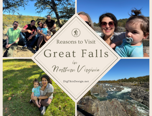 5 Spectacular Reasons to Visit Great Falls in Fairfax County, Virginia