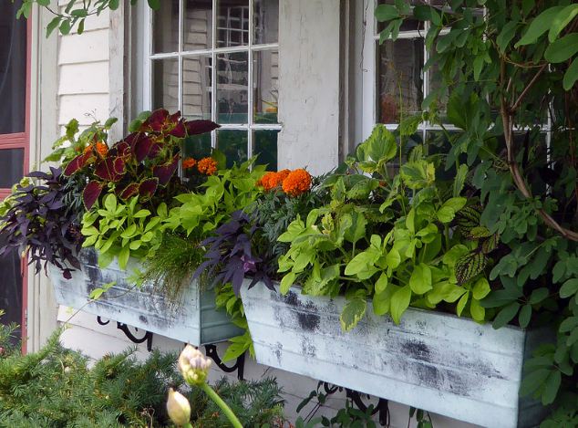 Home Exterior Window Box