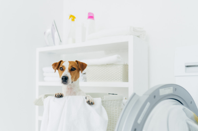 Multipurpose Laundry Room 2