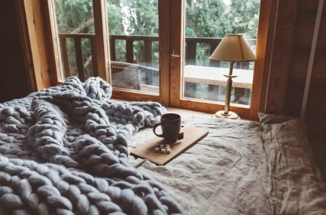 Cozy Living