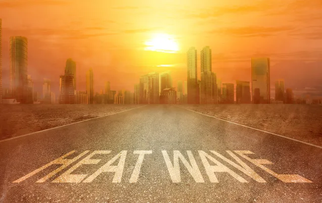 Surviving Heatwave