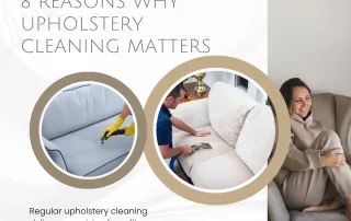 Upholstery Cleaning 1